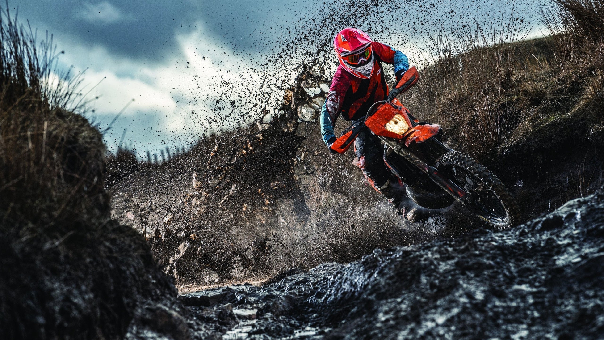 跳水稳定发挥希腊晋级决赛圈，跳海殉情经典希腊故事